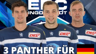Das Panther-Trio erhielt eine Einladung seitens des Bundestrainers. Das Panther-Trio erhielt eine Einladung seitens des Bundestrainers.
