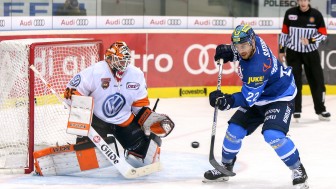 Die Panther um Kael Mouillierat haben die Grizzlys Wolfsburg zu Gast. Foto: Meyer Jürgen / kbumm.de Die Panther um Kael Mouillierat haben die Grizzlys Wolfsburg zu Gast. Foto: Meyer Jürgen / kbumm.de