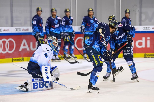 Showtraining der Profis. Foto: JT-Presse.de / Johannes Traub