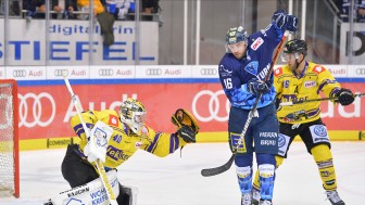 Brett Olson und die Panther wollen zuhause gegen die Krefeld Pinguine ihre Siegesserie weiter ausbauen.
Foto: Johannes TRAUB / JT-Presse.de Brett Olson und die Panther wollen zuhause gegen die Krefeld Pinguine ihre Siegesserie weiter ausbauen.
Foto: Johannes TRAUB / JT-Presse.de