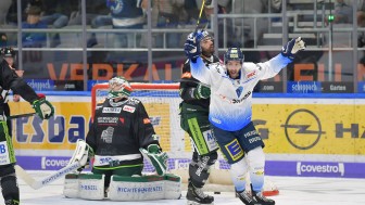 Die Panther wollen auch im Heimspiel gegen Augsburg wieder jubeln.
Foto: Johannes TRAUB / JT-Presse.de Die Panther wollen auch im Heimspiel gegen Augsburg wieder jubeln.
Foto: Johannes TRAUB / JT-Presse.de