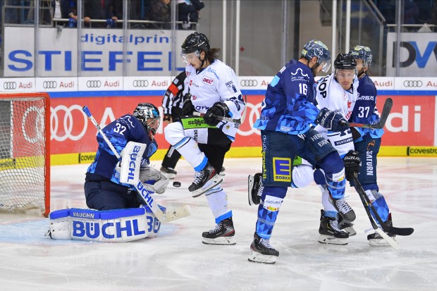 Die Tigers waren vor dem Tor konsequenter als die Panther.
Foto: Johannes TRAUB / JT-Presse.de