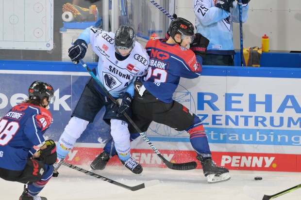 Im Duell gegen die Nürnberg Ice Tigers beim letztjährigen Gäubodenvolksfest-Cup konnte sich der ERC Ingolstadt mit 8:3 durchsetzen.