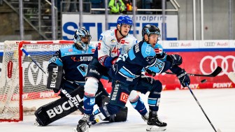 ERC Ingolstadt gegen Adler Mannheim heißt das Duell im Halbfinale der PENNY DEL.
Foto: JT-Presse.de ERC Ingolstadt gegen Adler Mannheim heißt das Duell im Halbfinale der PENNY DEL.
Foto: JT-Presse.de