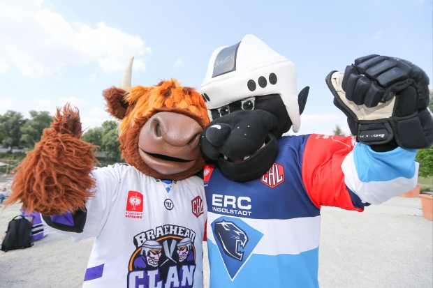 Clangus (Braehead Clan) and Xaver (ERC Ingolstadt) celebrated, too, at the fanfest. Foto: ERC Ingolstadt via Getty Images