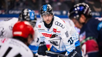 Der Gameworn Helm von Mat Bodie kommt unter den Hammer.
Foto: Citypress Der Gameworn Helm von Mat Bodie kommt unter den Hammer.
Foto: Citypress