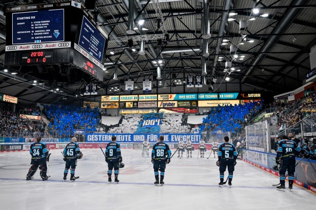 Erleben Sie die einzigartige Atmosphäre in der SATURN-Arena.
Foto: Johannes TRAUB / JT-Presse.de