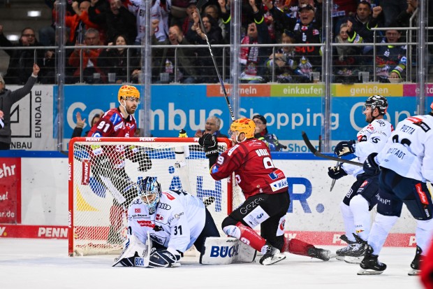 Jan Urbas mit dem 1:1-Ausgleichstreffer.

Foto: Citypress.