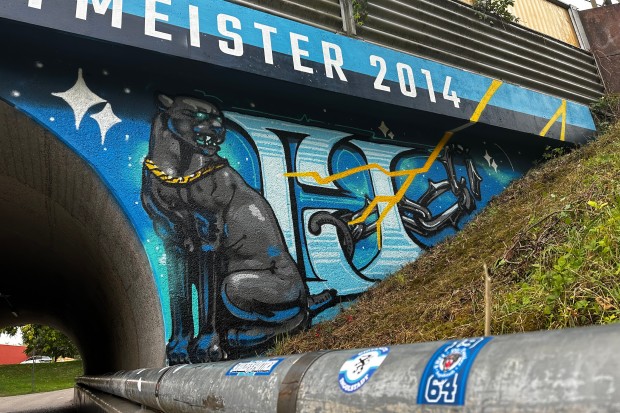 Rechts und links vom Tunnel sind Panther zu gehen.