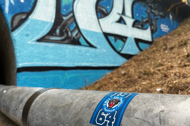 Graffiti, Unterführung, Klenzepark