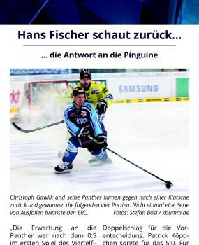 Fischer Pinguine