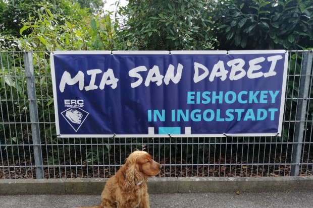 Ein ERC-Banner (wenn auch mit neuem Design) an Deinem Gartenzaun - auch zu dieser Saison machen wir das möglich.