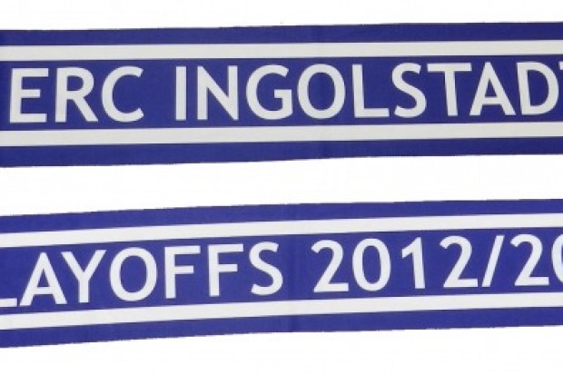 Playoff-Schal