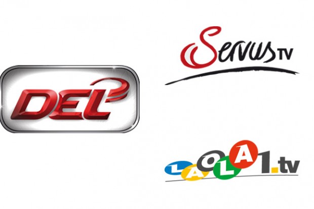 DEL-Saison 2013: positives Fazit