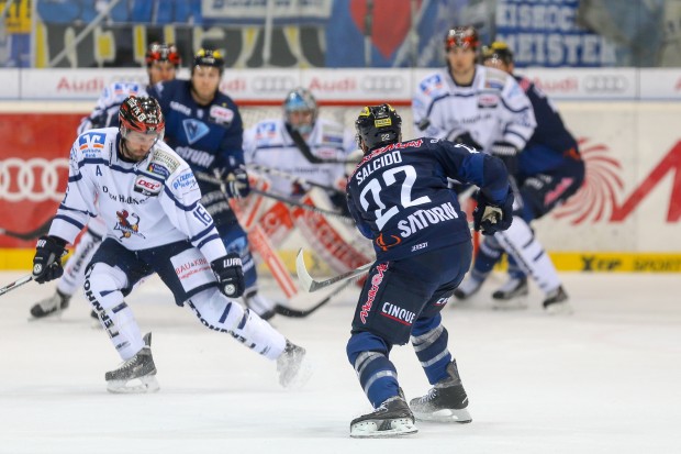 Brian Salcido und seine Panthers haben es am Sonntag mit den Roosters zu tun. Foto: st-foto.de / Strisch