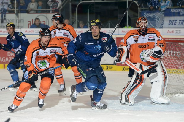 Die Grizzlys gewannen die Partie. Foto (Archiv): Strisch / Traub