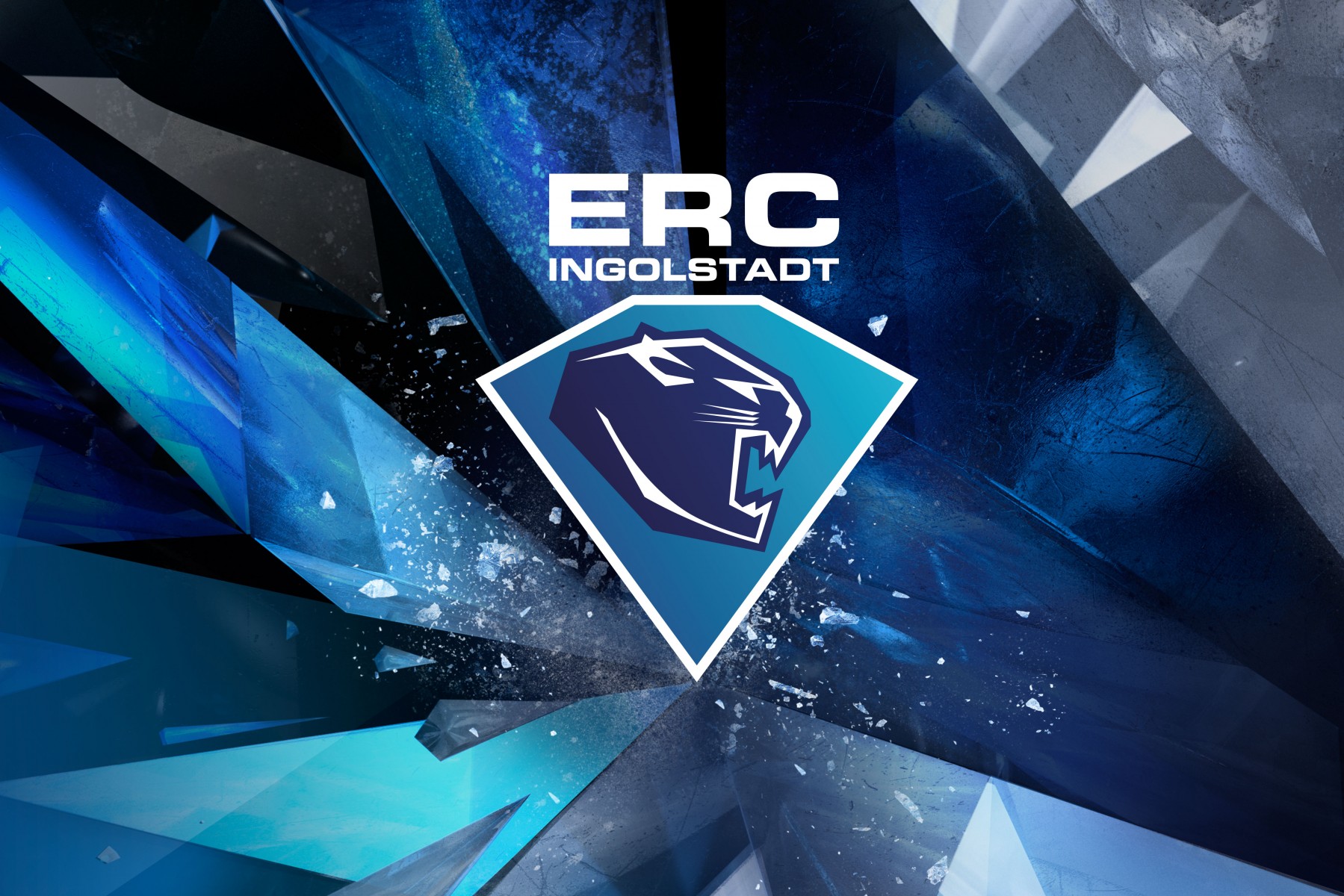 ERC erhält Lizenz Profis ERC Ingolstadt