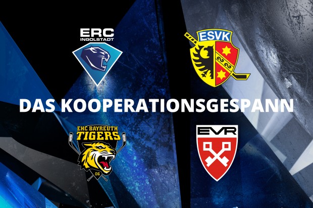 Gratulation an die Partner.