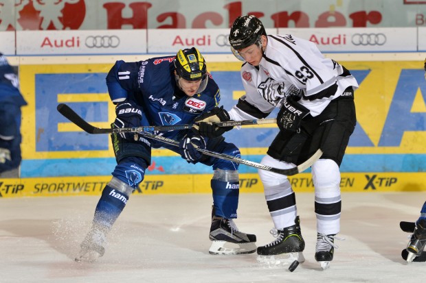 The Panthers now play in Nuremberg on Octobre 3. Foto: st-foto.de