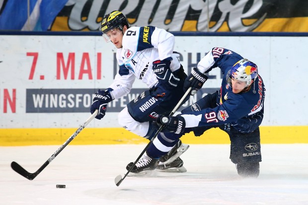 Der ERC (hier in weiß mit Brandon Buck) und München (Jerome Flaake) schenkten sich nichts. Foto: EHC Red Bull München via City Press