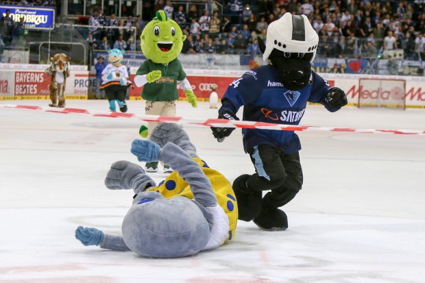 Xaver und seine Freunde freuen sich auf Ihren Besuch. Foto: Meyer / kbumm.de