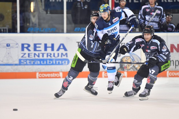 David Elsner und sein ERC empfangen zum Auftakt die Straubing Tigers. Foto: st-foto.de / Johannes Traub