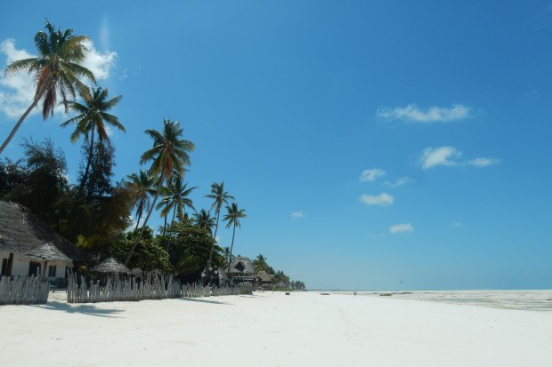 Pantherige Urlaubstipps. Foto: Pixabay