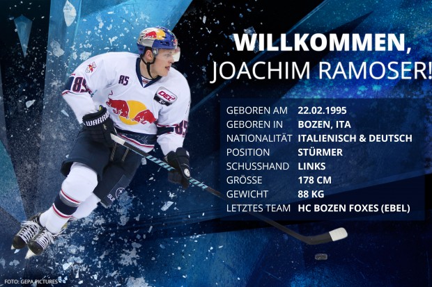 Der 22-jährige Angreifer kommt von HC Bozen Foxes. Foto: Gepa Pictures