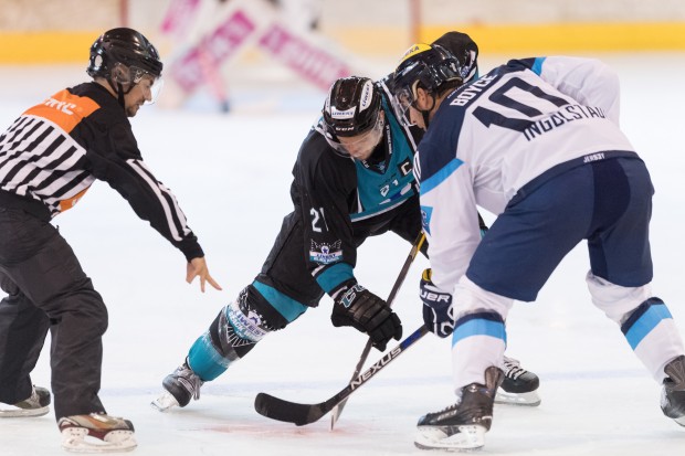 Die Black Wings Linz und der ERC Ingolstadt sind bereits fix beim Vinschgau Cup dabei. Foto: Markus Fischer / mfipics.de