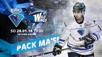 Die Panther empfangen die Schwenninger Wild Wings. Die Panther empfangen die Schwenninger Wild Wings.