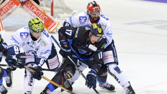 Petr Taticek und seine Panther treffen am Sonntag auf die Iserlohn Roosters. Foto: Oliver Strisch / st-foto Petr Taticek und seine Panther treffen am Sonntag auf die Iserlohn Roosters. Foto: Oliver Strisch / st-foto