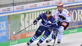 Unterstützen Sie die Panther direkt in der Saturn-Arena!
Foto: Johannes TRAUB / ST-Foto.de Unterstützen Sie die Panther direkt in der Saturn-Arena!
Foto: Johannes TRAUB / ST-Foto.de