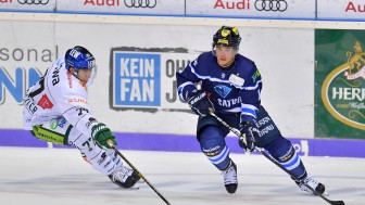Ville Koistinen und seine Panther treten am Sonntag beim Meister an.
Foto: Johannes TRAUB / ST-Foto.de Ville Koistinen und seine Panther treten am Sonntag beim Meister an.
Foto: Johannes TRAUB / ST-Foto.de