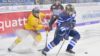 Vili Sopanen brachte die Panther gegen Düsseldorf zurück ins Spiel. Am Sonntag geht es für den ERC in Berlin weiter.
Foto: Johannes TRAUB / ST-Foto.de Vili Sopanen brachte die Panther gegen Düsseldorf zurück ins Spiel. Am Sonntag geht es für den ERC in Berlin weiter.
Foto: Johannes TRAUB / ST-Foto.de