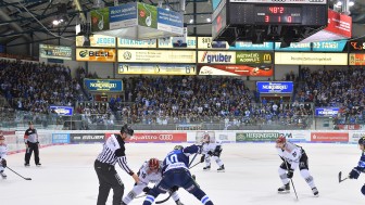 Der ERC Ingolstadt empfängt am Wochenende zwei Lokalrivalen.
Foto: Johannes TRAUB / ST-Foto.de Der ERC Ingolstadt empfängt am Wochenende zwei Lokalrivalen.
Foto: Johannes TRAUB / ST-Foto.de