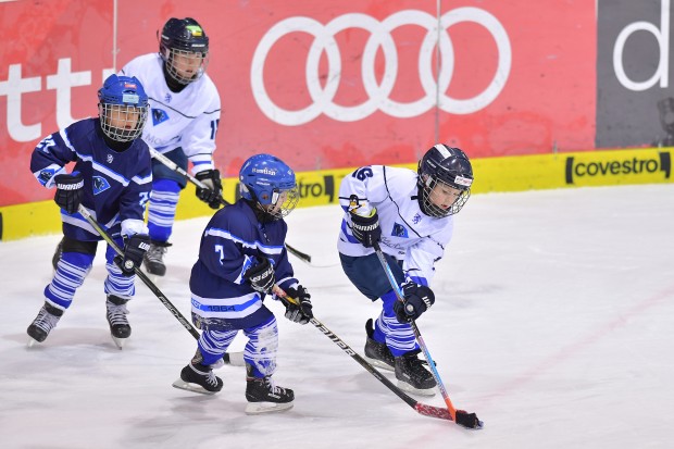 Von den Kleinsten bis zur U20 DNL-Mannschaft sollen alle Kinder und Jugendlichen bestmöglich ausgebildet werden.
Foto: Johannes TRAUB/JT-Presse.de  