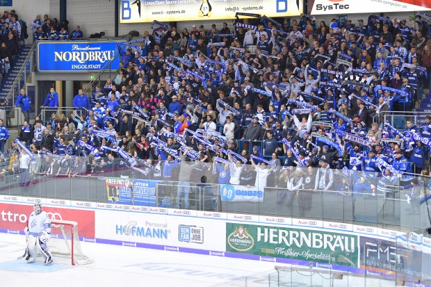 Pflichttermin für alle Sportfans in der Region Ingolstadt: Heute, 16.30 Uhr, Saturn-Arena.
Foto: Johannes TRAUB / ST-Foto.de  