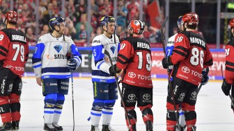 Eine spannende Playoff-Serie fand in Spiel 7 ihre Zuspitzung - mit dem besseren Ende für Köln. Foto: st-foto / Traub Johannes Eine spannende Playoff-Serie fand in Spiel 7 ihre Zuspitzung - mit dem besseren Ende für Köln. Foto: st-foto / Traub Johannes