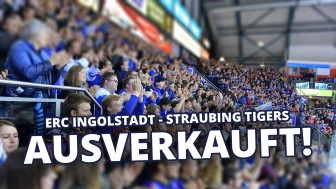 Das Endspiel um Platz 6 gegen Straubing ist ausverkauft.
Foto: ST-FOTO.de Das Endspiel um Platz 6 gegen Straubing ist ausverkauft.
Foto: ST-FOTO.de