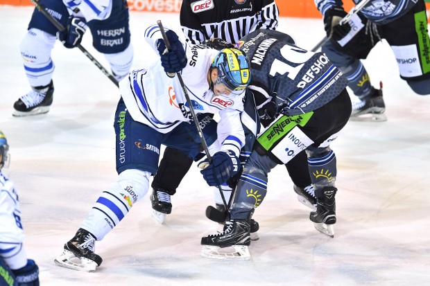 Wie schon im Vorjahr startet der ERC gegen die Straubing Tigers in die Saison, diesmal auswärts. Foto: ST-Foto.de / Johannes Traub