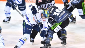 First game against Straubing Tigers - same procedure as last year, but with the better ending this time on us... Foto: ST-Foto.de / Johannes Traub First game against Straubing Tigers - same procedure as last year, but with the better ending this time on us... Foto: ST-Foto.de / Johannes Traub