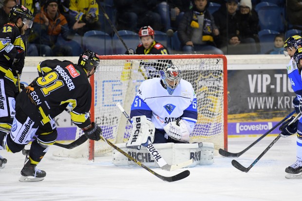Timo Pielmeier leistete mit guten Saves einen wichtigen Beitrag zum Auswärtssieg. Foto: Christoph Jürgens / DEL-Photosharing