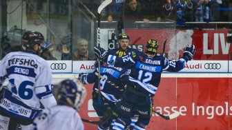 Die Panther haben nach einer tollen Hauptrunde den direkten Sprung ins Viertelfinale geschafft. Foto: Meyer Jürgen / kbumm.de Die Panther haben nach einer tollen Hauptrunde den direkten Sprung ins Viertelfinale geschafft. Foto: Meyer Jürgen / kbumm.de
