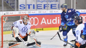 Warmschießen für die erste Playoff-Runde. Panther im letzten Hauptrundenspiel gegen Grizzlys.
Foto: Johannes TRAUB / JT-Presse.de Warmschießen für die erste Playoff-Runde. Panther im letzten Hauptrundenspiel gegen Grizzlys.
Foto: Johannes TRAUB / JT-Presse.de