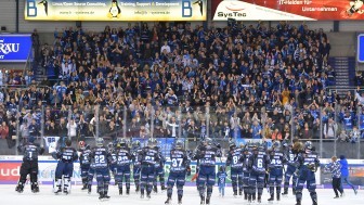 Ab Mittwoch geht es für die Panther gegen Augsburg.
Foto: Johannes TRAUB / JT-Presse.de Ab Mittwoch geht es für die Panther gegen Augsburg.
Foto: Johannes TRAUB / JT-Presse.de