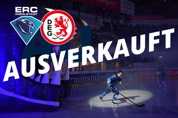 Das Spiel gegen die Düsseldorfer EG ist ausverkauft. Foto: Traub