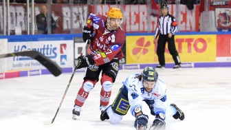 Kris Foucault und die Panther unterlagen den Fischtown Pinguins mit 4:2 und müssen nun in die erste Playoff-Runde.
Foto: DEL-Fotosharing Kris Foucault und die Panther unterlagen den Fischtown Pinguins mit 4:2 und müssen nun in die erste Playoff-Runde.
Foto: DEL-Fotosharing