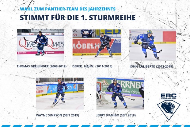 Aus fünf mach drei. Wer schafft es in den Sturm des Panther-Teams des Jahrzehnts?