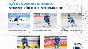 Drei Meisterpanther und zwei Profis aus dem letztjährigen Kader stehen zur Auswahl. Drei Meisterpanther und zwei Profis aus dem letztjährigen Kader stehen zur Auswahl.