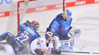 Voller Einsatz für den Sieg. Die Panther um Mat Bodie (li.) und Goalie Michael garteig wollen heute den zweiten Tabellenplatz zurückerobern.
Foto: Johannes Traub/JT-Presse.de Voller Einsatz für den Sieg. Die Panther um Mat Bodie (li.) und Goalie Michael garteig wollen heute den zweiten Tabellenplatz zurückerobern.
Foto: Johannes Traub/JT-Presse.de